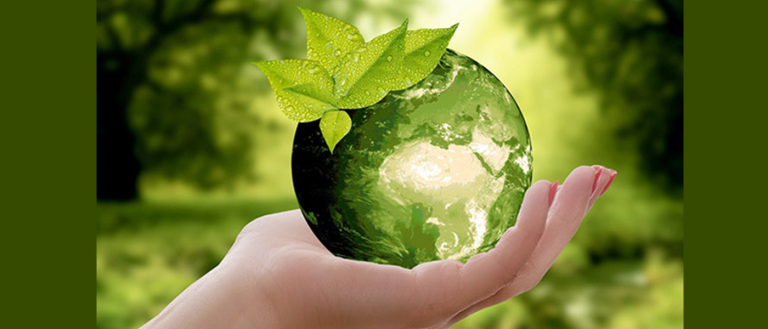 Modern Perspectives: Sustainability starts from within