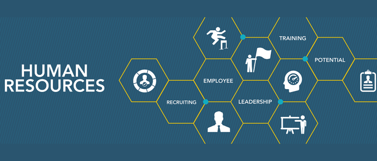 The real value of HR is helping build the right workforce