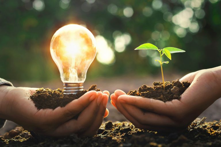 France and UAE Discuss Shared Visions of Clean Energy Distribution